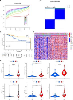 Development and validation of an inflammatory response-related signature in triple negative breast cancer for predicting prognosis and immunotherapy